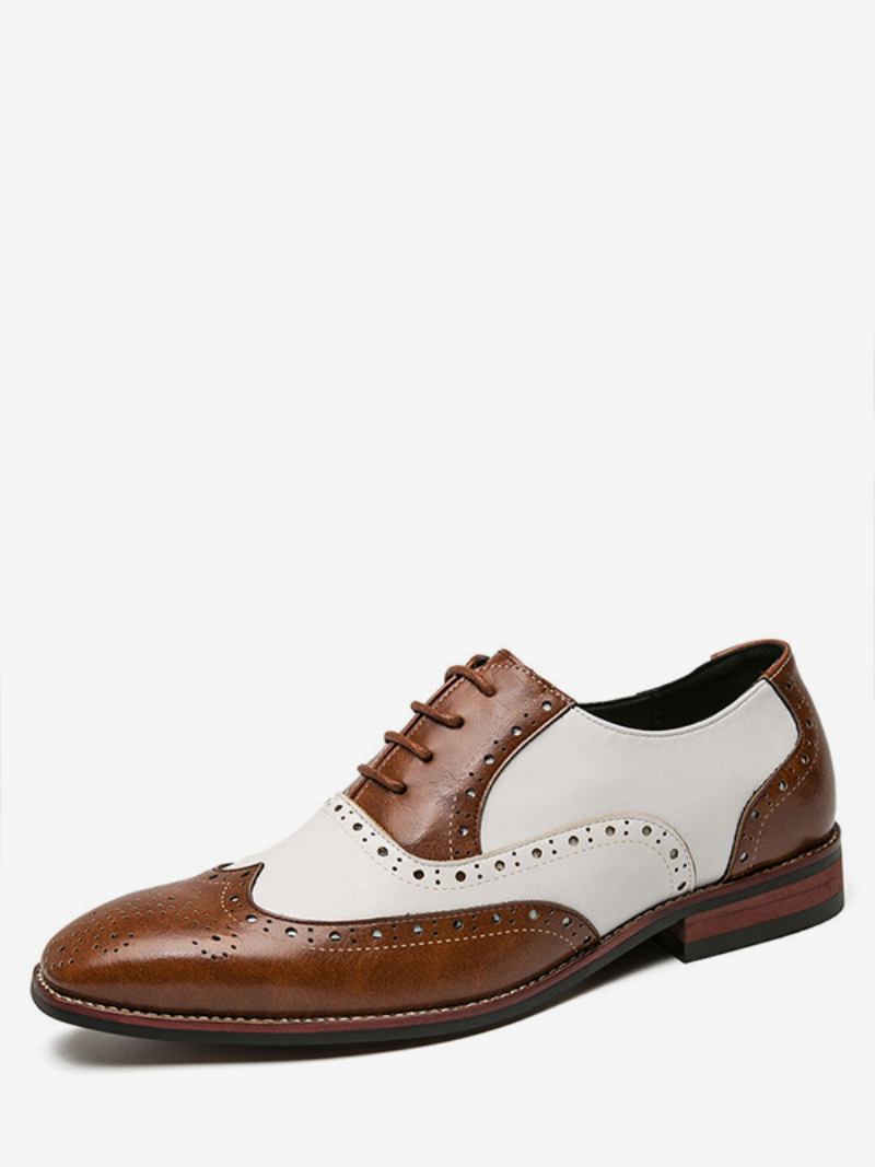 Oxfords Sapatos Para Homem Moderno Redondo Toe Cinta Ajustável Couro Do Plutônio Wingtips Brogues - Café Marrom