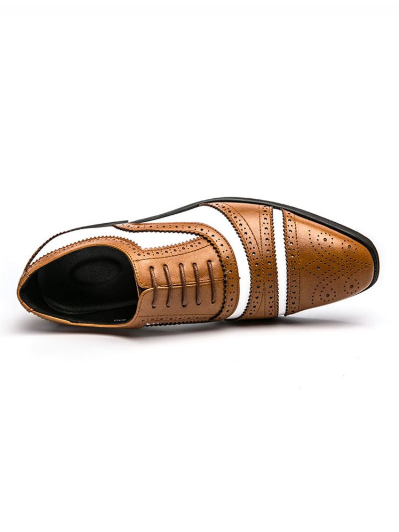 Sapatos Baile Masculinos Em Dois Tons Marrons Brogue Oxfords Com Vestido Noiva - Castanho Café