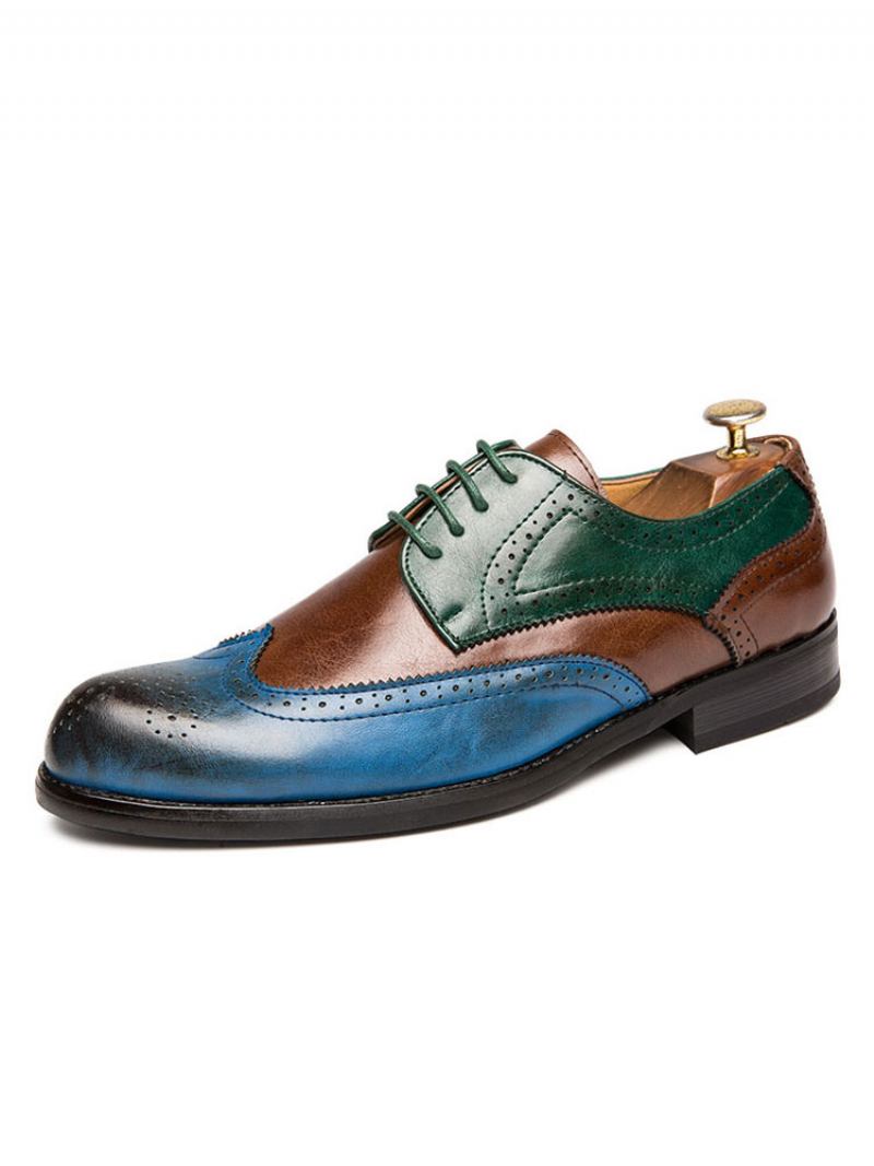 Sapatos Derby Masculinos Com Pontas Asas Em Bloco Colorido