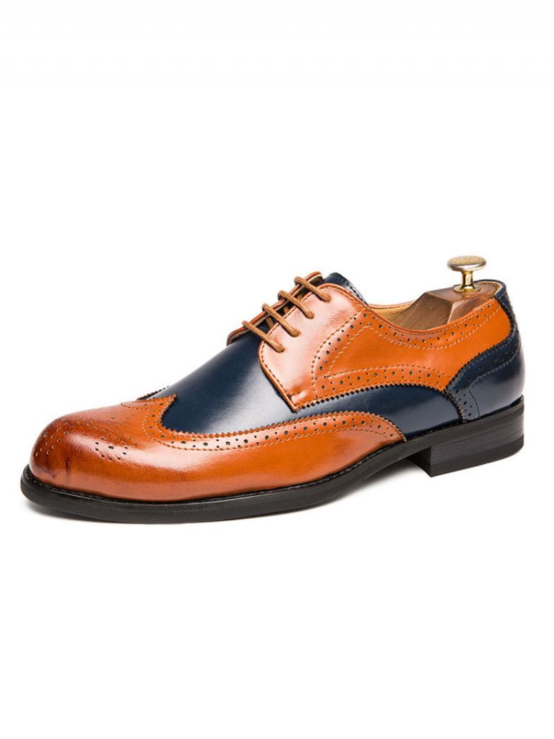 Sapatos Derby Masculinos Com Pontas Asas Em Bloco Colorido - Castanho Café