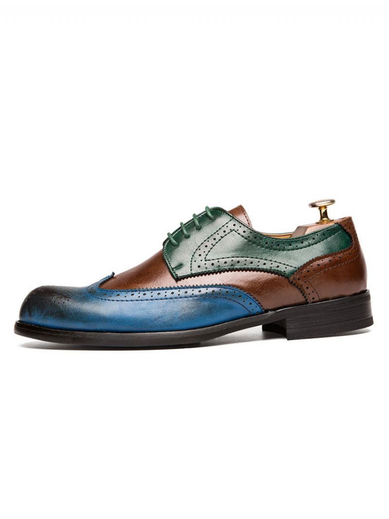 Sapatos Derby Masculinos Com Pontas Asas Em Bloco Colorido - Azul