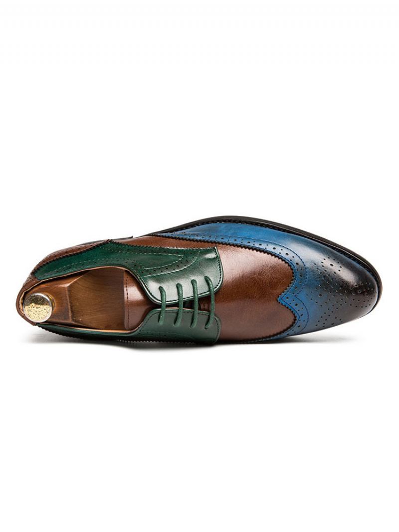 Sapatos Derby Masculinos Com Pontas Asas Em Bloco Colorido - Azul