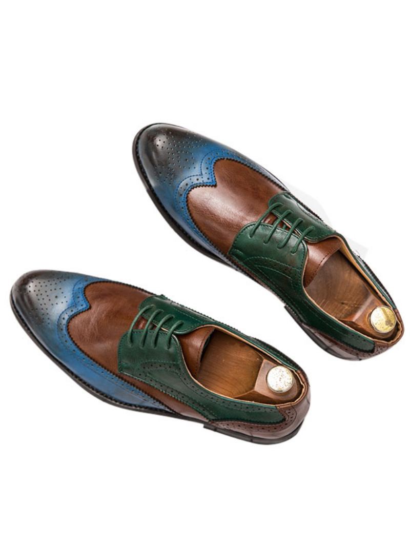 Sapatos Derby Masculinos Com Pontas Asas Em Bloco Colorido - Azul