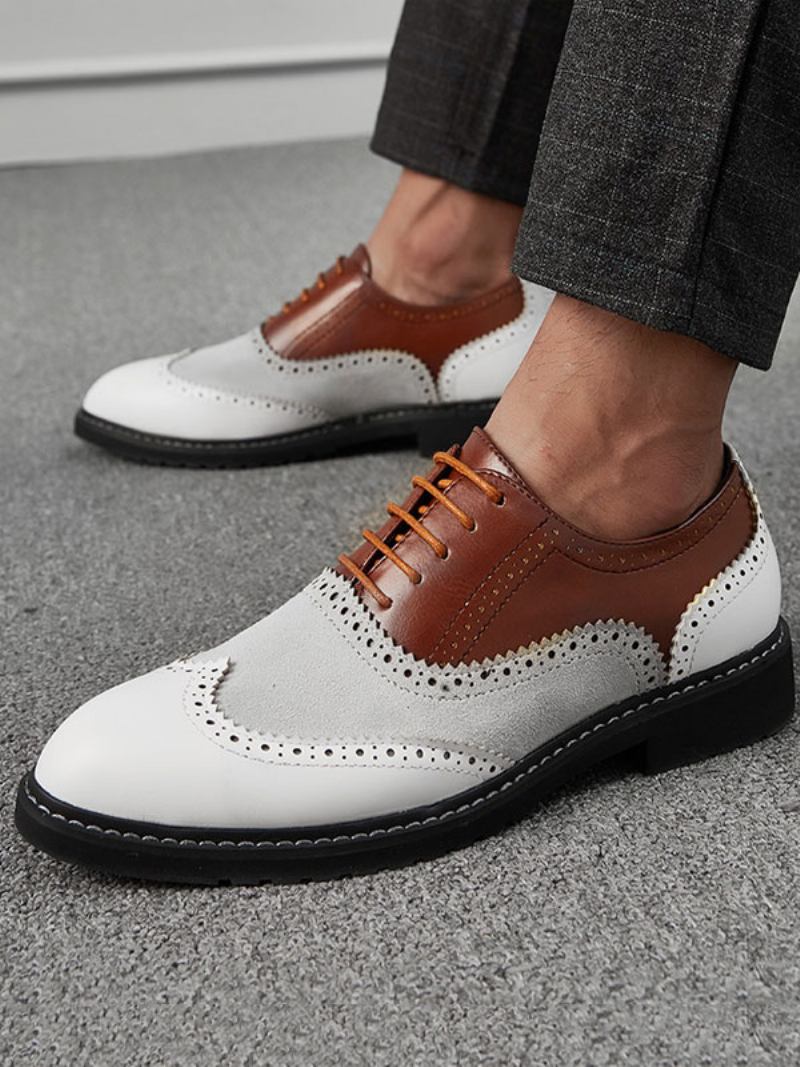 Sapatos Formais Oxford Do Vestido Bloco Da Cor Dos Homens Para Ocasiões - Café Marrom