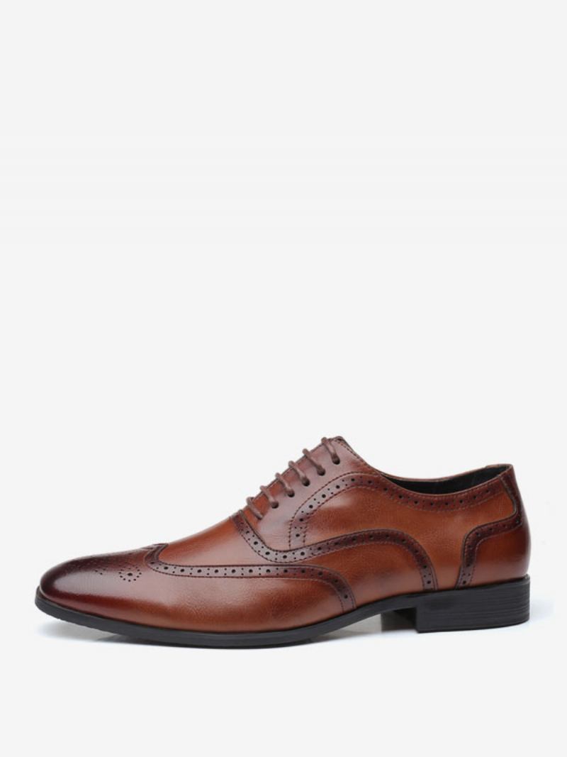 Sapatos Oxford Masculinos Qualidade Bico Fino Com Cadarço E Noivo - Castanho Café