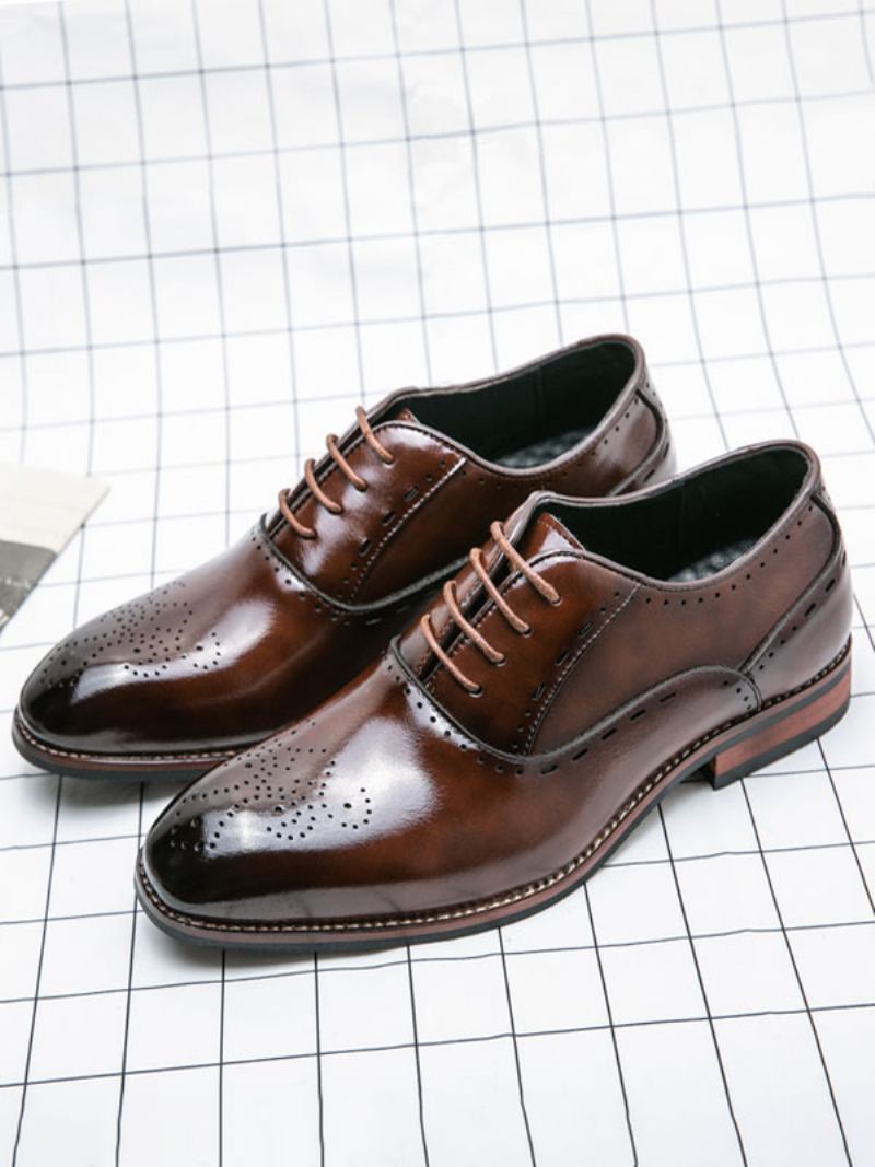 Sapatos Sociais Masculinos Bico Redondo Marrom Oxford Com Cadarço - Café Marrom