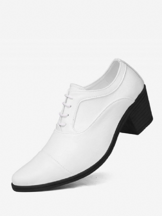 Sapatos Sociais Masculinos Moda Bico Fino Com Cadarço Couro Pu Baile Para Festa Casamento