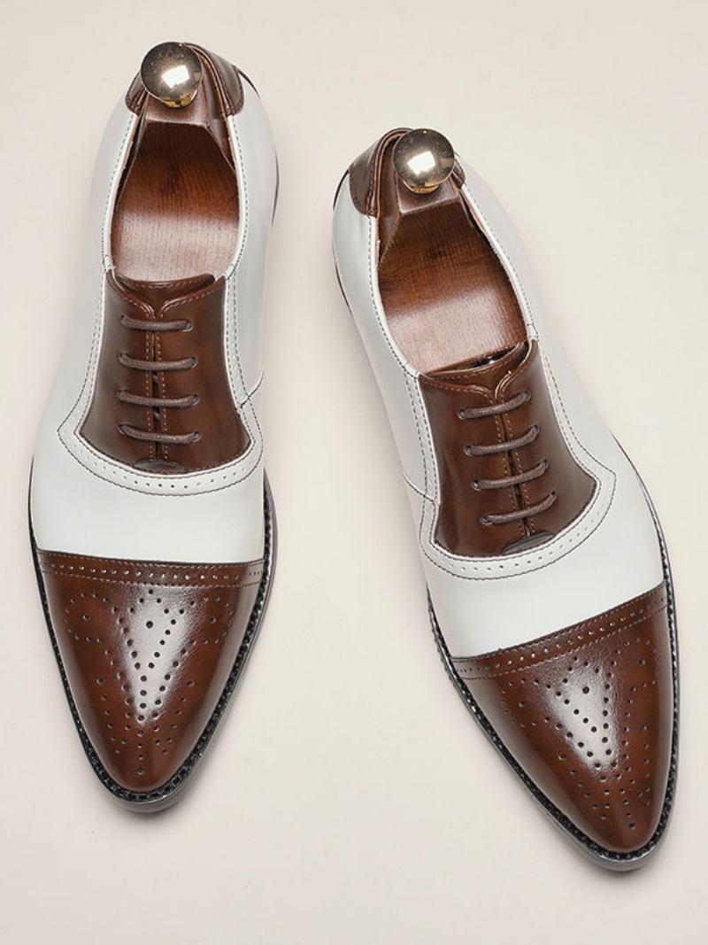 Vestido Casamento Oxfords Masculino Com Bico Fino Brogue Sapatos Formais Brancos - Café Marrom