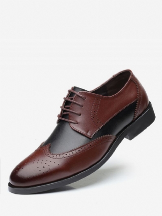 Vestido Noiva Masculino Em Dois Tons Wingtip Derbys Sapatos Formais Derby Preto