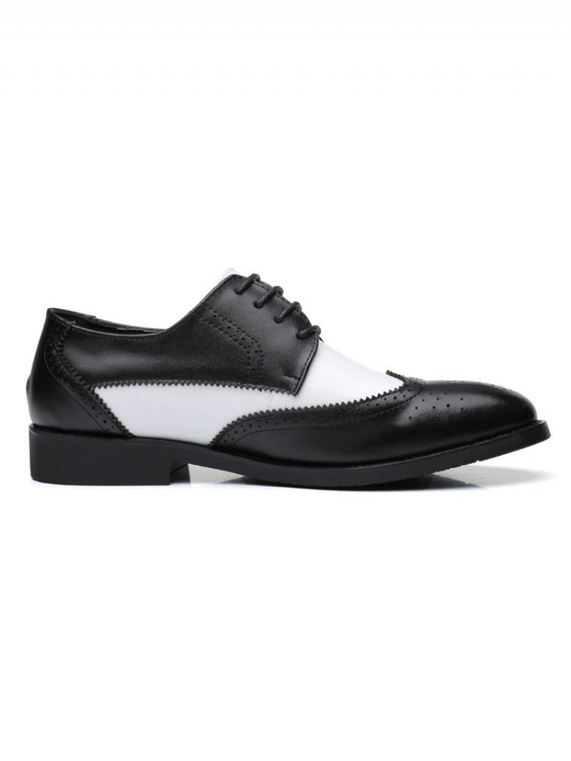 Vestido Noiva Masculino Em Dois Tons Wingtip Derbys Sapatos Formais Derby Preto - Preto