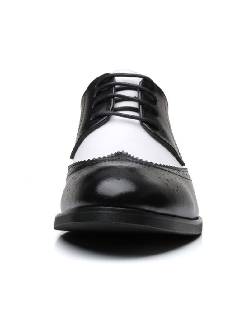 Vestido Noiva Masculino Em Dois Tons Wingtip Derbys Sapatos Formais Derby Preto - Preto