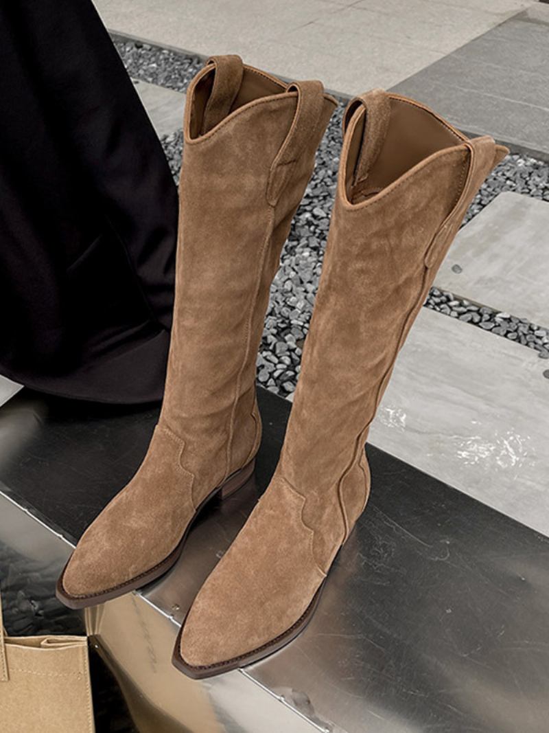 Botas Femininas Micro Camurça Com Bico Fino E Salto Médio Na Panturrilha - Caqui