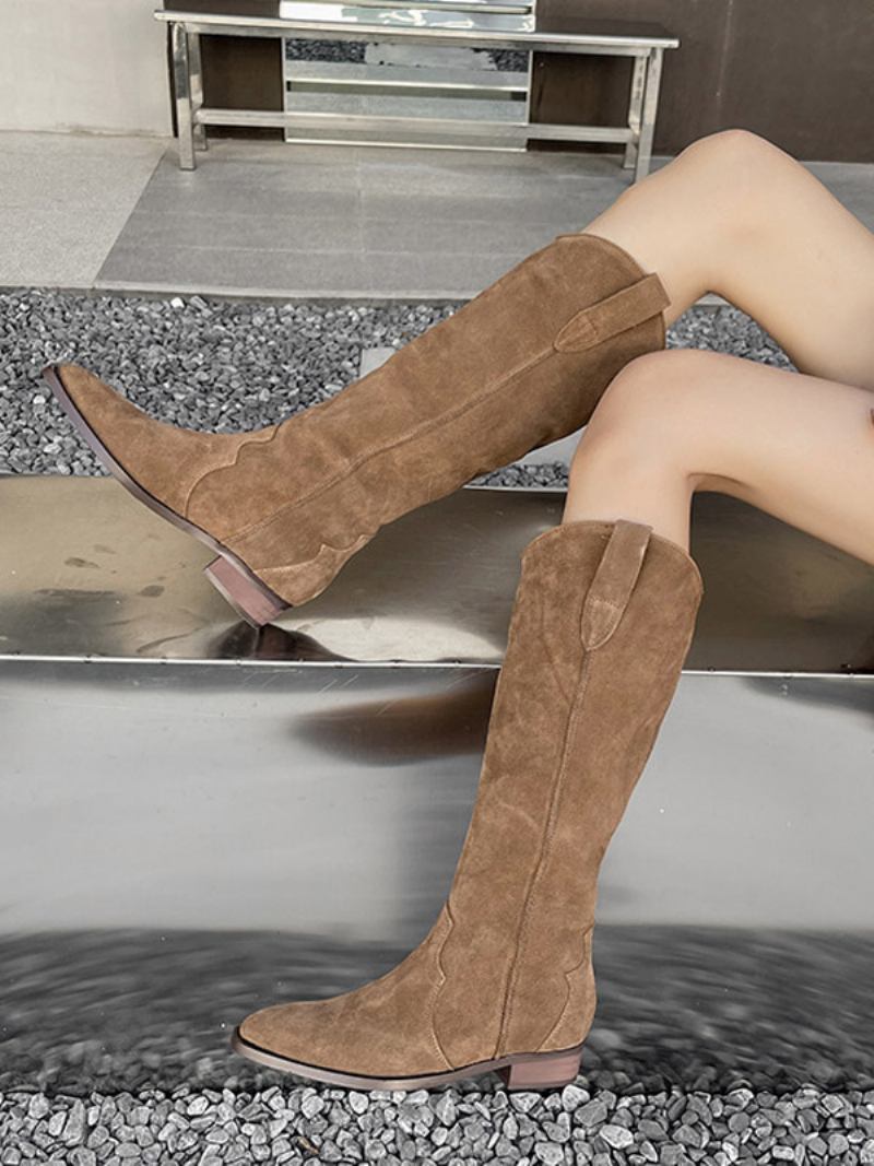 Botas Femininas Micro Camurça Com Bico Fino E Salto Médio Na Panturrilha - Caqui